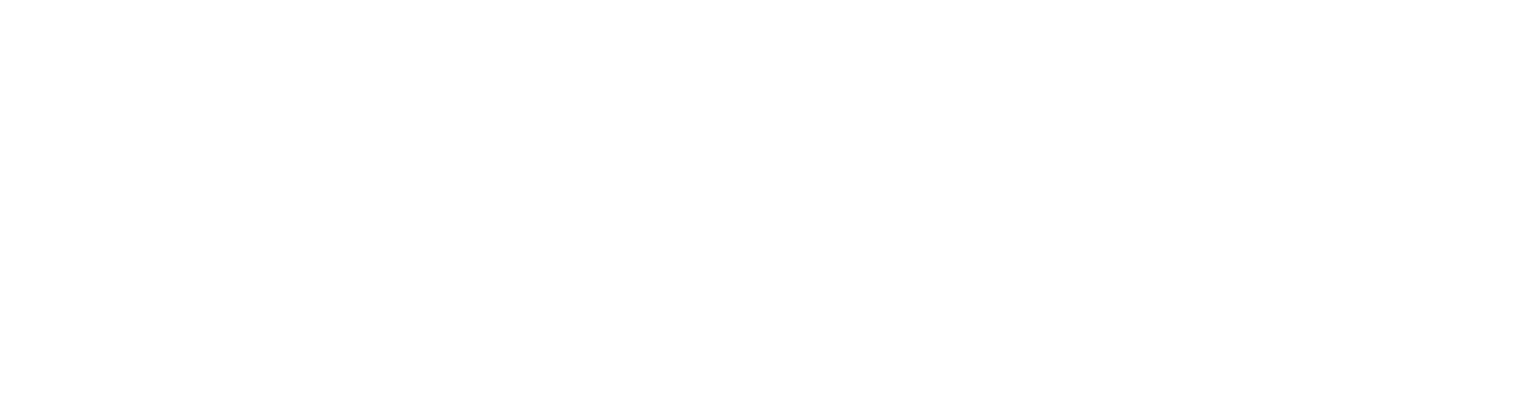 TEN20